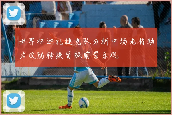 世界杯巡礼捷克队分析中场老将助力攻防转换晋级前景乐观